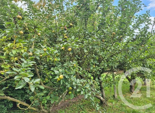 Maison &agrave; vendre - 3 pi&egrave;ces - 68,51 m2 - Delincourt - 60 - PICARDIE