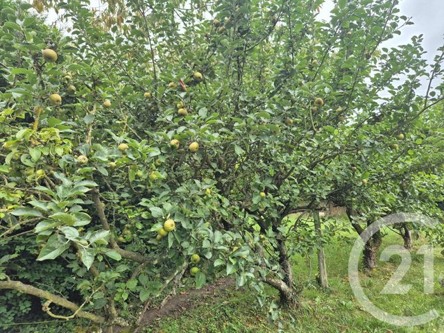 Maison &agrave; vendre - 3 pi&egrave;ces - 68,51 m2 - Delincourt - 60 - PICARDIE