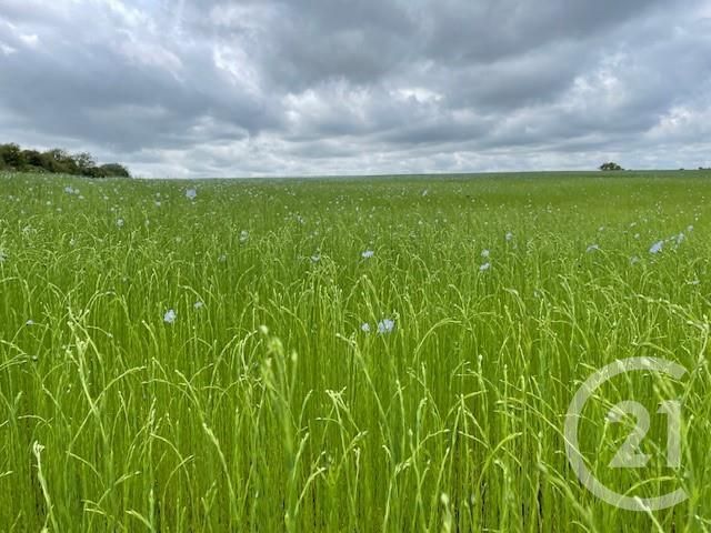 Terrain à vendre - 709 m2 - Flavacourt - 60 - PICARDIE