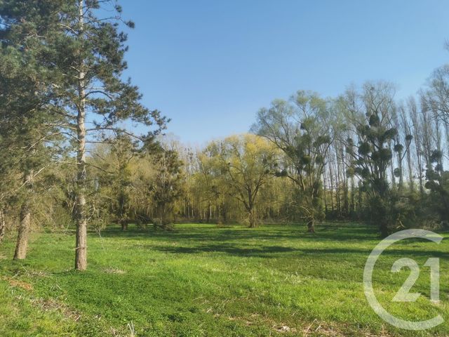 Maison à vendre - 6 pièces - 103,04 m2 - Ezanville - 95 - ILE-DE-FRANCE