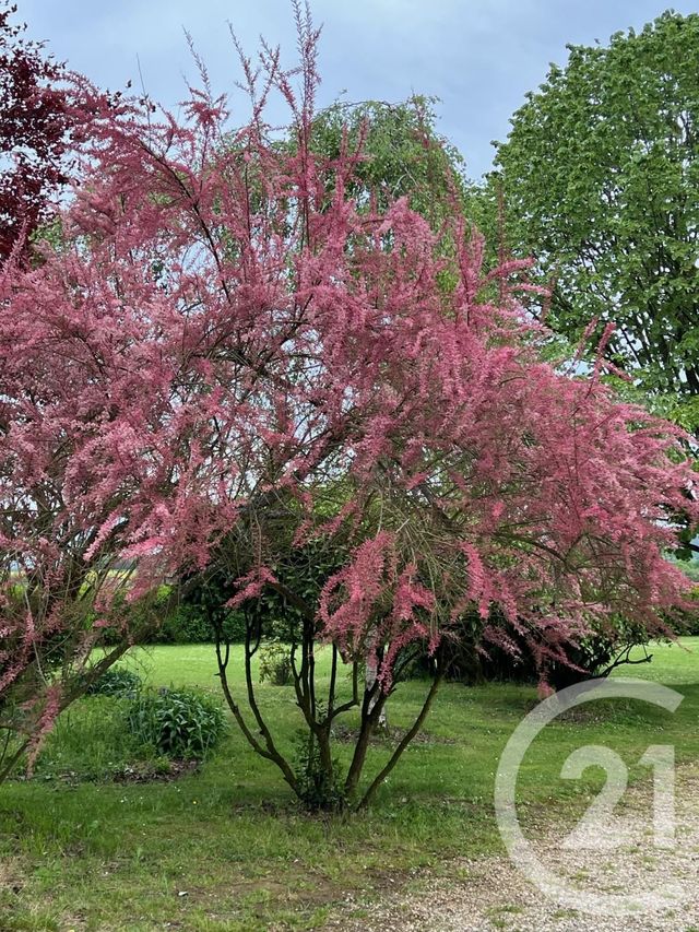 Maison &agrave; vendre - 7 pi&egrave;ces - 180 m2 - Marines - 95 - ILE-DE-FRANCE